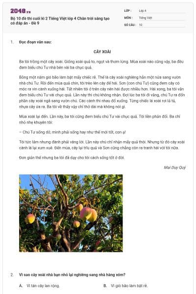 Bộ 10 đề thi cuối kì 2 Tiếng Việt lớp 4 Chân trời sáng tạo có đáp án - Đề 9