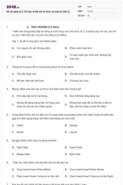 Đề thi giữa kì 2 Tin học 6 Kết nối tri thức có đáp án (Đề 2)