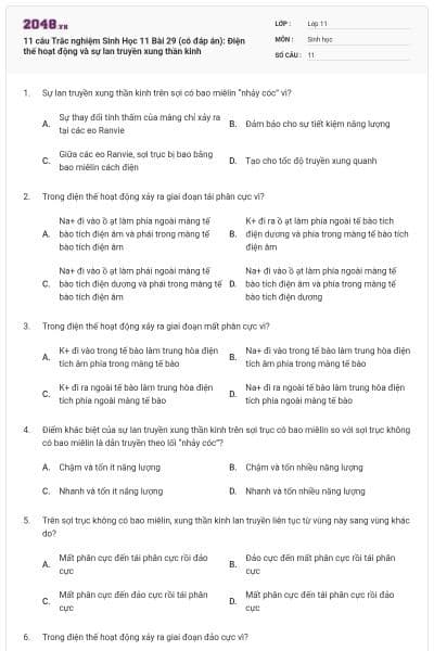 11 câu Trắc nghiệm Sinh Học 11 Bài 29 (có đáp án): Điện thế hoạt động và sự lan truyền xung thần kinh