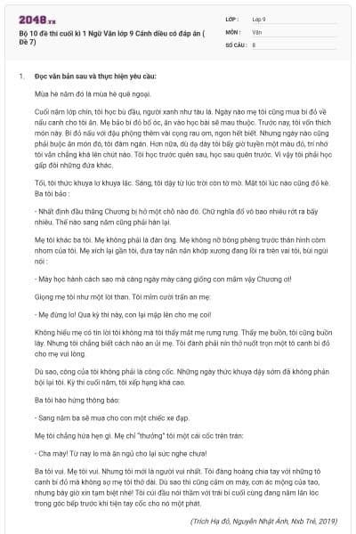 Bộ 10 đề thi cuối kì 1 Ngữ Văn lớp 9 Cánh diều có đáp án ( Đề 7)