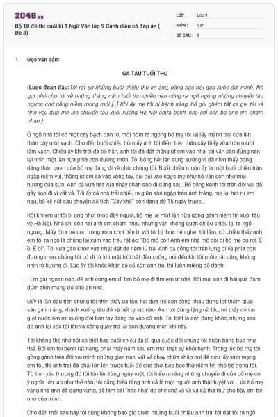 Bộ 10 đề thi cuối kì 1 Ngữ Văn lớp 9 Cánh diều có đáp án ( Đề 8)