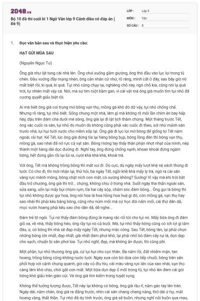 Bộ 10 đề thi cuối kì 1 Ngữ Văn lớp 9 Cánh diều có đáp án ( Đề 9)