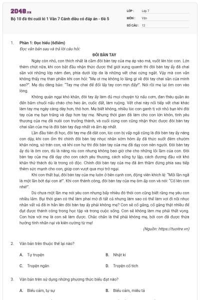 Bộ 10 đề thi cuối kì 1 Văn 7 Cánh diều có đáp án - Đề 5