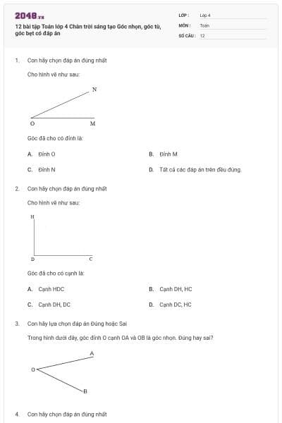 12 bài tập Toán lớp 4 Chân trời sáng tạo Góc nhọn, góc tù, góc bẹt có đáp án