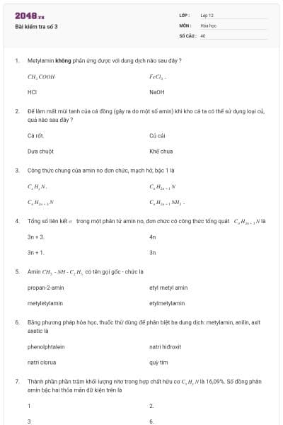 Bài kiểm tra số 3