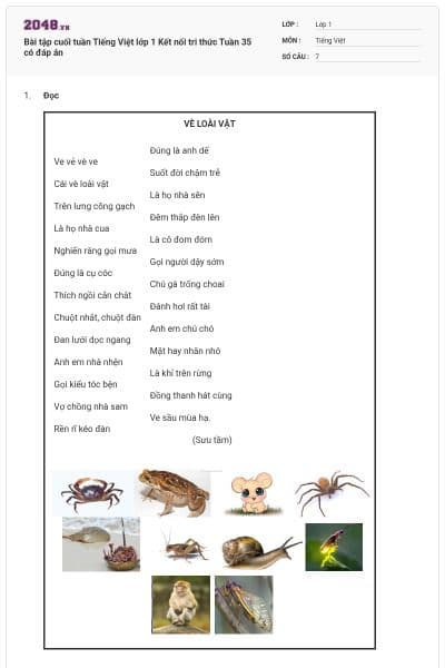 Bài tập cuối tuần Tiếng Việt lớp 1 Kết nối tri thức Tuần 35 có đáp án