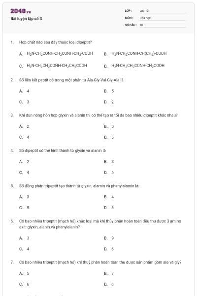 Bài luyện tập số 3