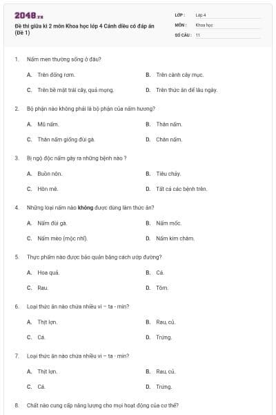 Đề thi giữa kì 2 môn Khoa học lớp 4 Cánh diều có đáp án (Đề 1)