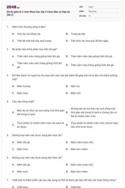 Đề thi giữa kì 2 môn Khoa học lớp 4 Cánh diều có đáp án (Đề 2)