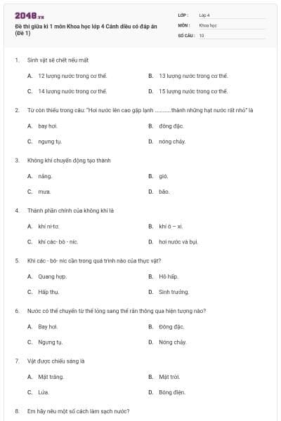 Đề thi giữa kì 1 môn Khoa học lớp 4 Cánh diều có đáp án (Đề 1)