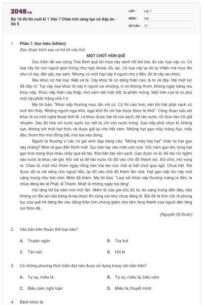Bộ 10 đề thi cuối kì 1 Văn 7 Chân trời sáng tạo có đáp án - Đề 5