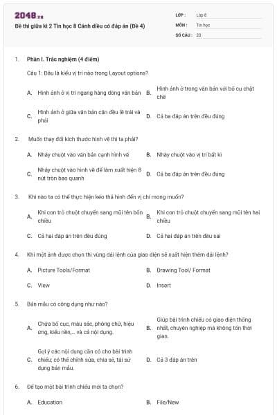 Đề thi giữa kì 2 Tin học 8 Cánh diều có đáp án (Đề 4)