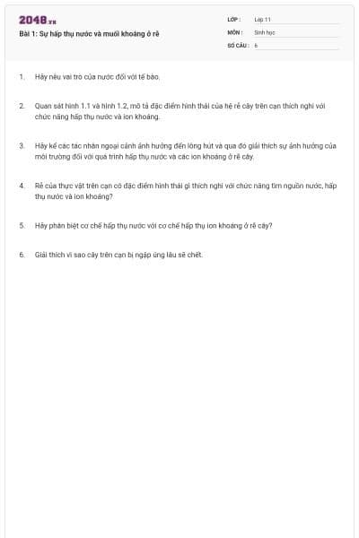 Bài 1: Sự hấp thụ nước và muối khoáng ở rễ