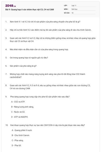 Bài 9: Quang hợp ở các nhóm thực vật C3, C4 và CAM