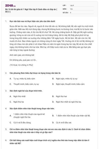 Bộ 10 đề thi giữa kì 1 Ngữ Văn lớp 8 Cánh diều có đáp án ( Đề 3 )
