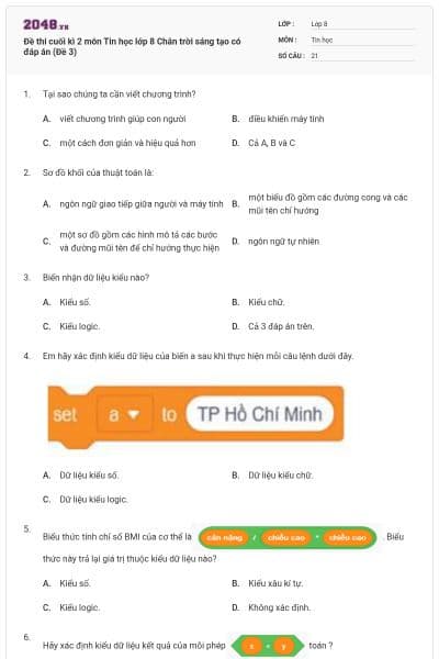 Đề thi cuối kì 2 môn Tin học lớp 8 Chân trời sáng tạo có đáp án (Đề 3)
