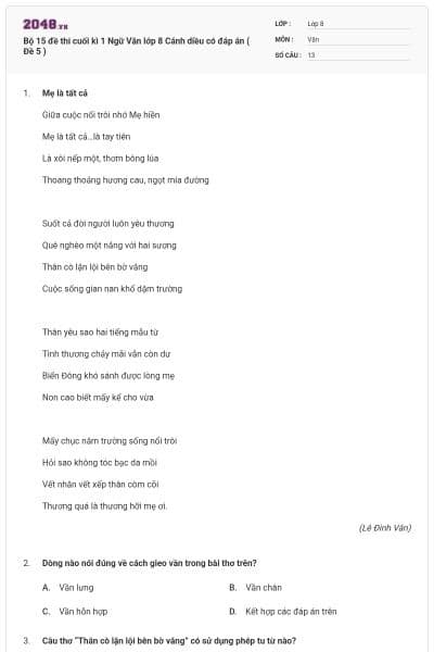 Bộ 15 đề thi cuối kì 1 Ngữ Văn lớp 8 Cánh diều có đáp án ( Đề 5 )