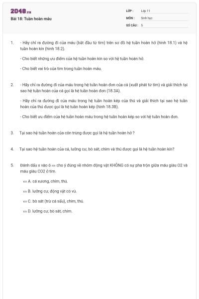 Bài 18: Tuần hoàn máu