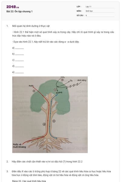 Bài 22: Ôn tập chương 1