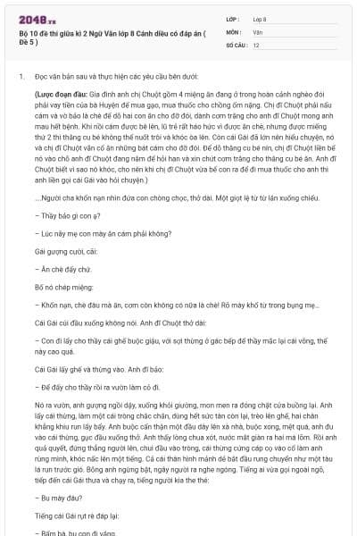 Bộ 10 đề thi giữa kì 2 Ngữ Văn lớp 8 Cánh diều có đáp án ( Đề 5 )