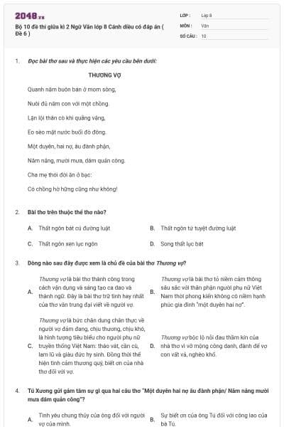 Bộ 10 đề thi giữa kì 2 Ngữ Văn lớp 8 Cánh diều có đáp án ( Đề 6 )