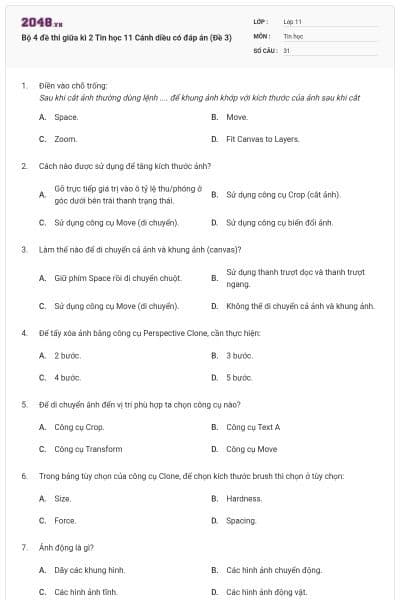 Bộ 4 đề thi giữa kì 2 Tin học 11 Cánh diều có đáp án (Đề 3)