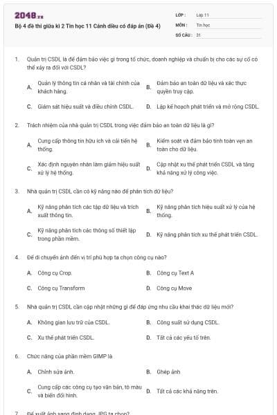 Bộ 4 đề thi giữa kì 2 Tin học 11 Cánh diều có đáp án (Đề 4)