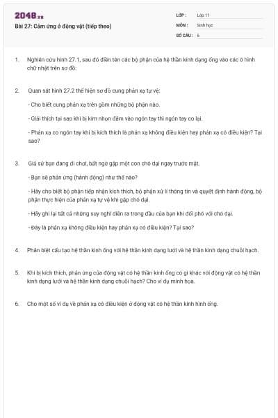 Bài 27: Cảm ứng ở động vật (tiếp theo)