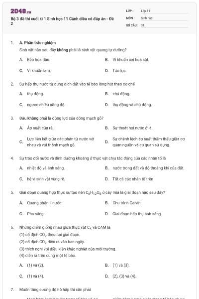 Bộ 3 đề thi cuối kì 1 Sinh học 11 Cánh diều có đáp án - Đề 2