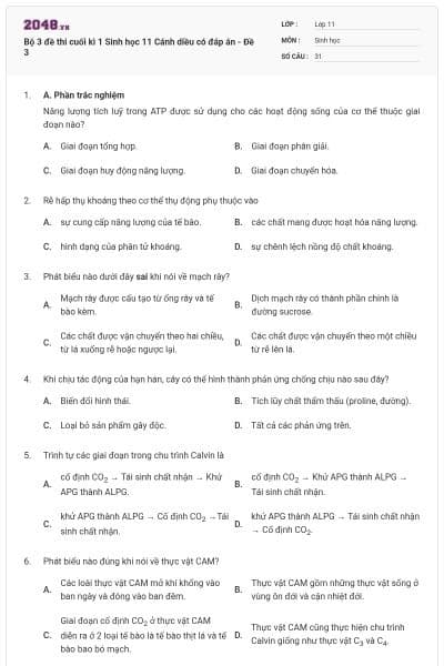 Bộ 3 đề thi cuối kì 1 Sinh học 11 Cánh diều có đáp án - Đề 3
