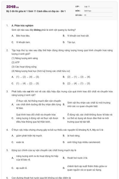 Bộ 3 đề thi giữa kì 1 Sinh 11 Cánh diều có đáp án - Đề 1