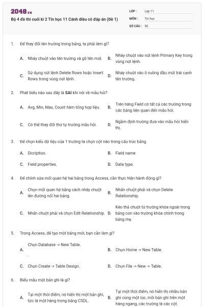 Bộ 4 đề thi cuối kì 2 Tin học 11 Cánh diều có đáp án (Đề 1)