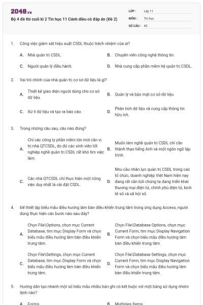 Bộ 4 đề thi cuối kì 2 Tin học 11 Cánh diều có đáp án (Đề 2)