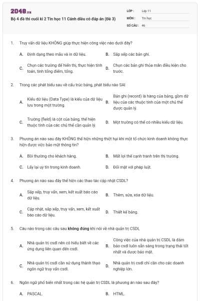 Bộ 4 đề thi cuối kì 2 Tin học 11 Cánh diều có đáp án (Đề 3)