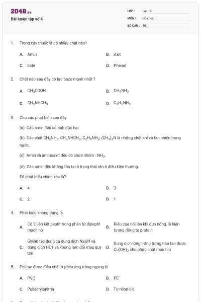 Bài luyện tập số 4