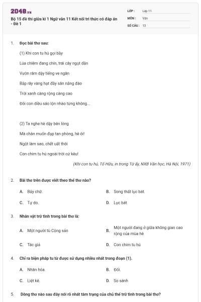 Bộ 15 đề thi giữa kì 1 Ngữ văn 11 Kết nối tri thức có đáp án - Đề 1