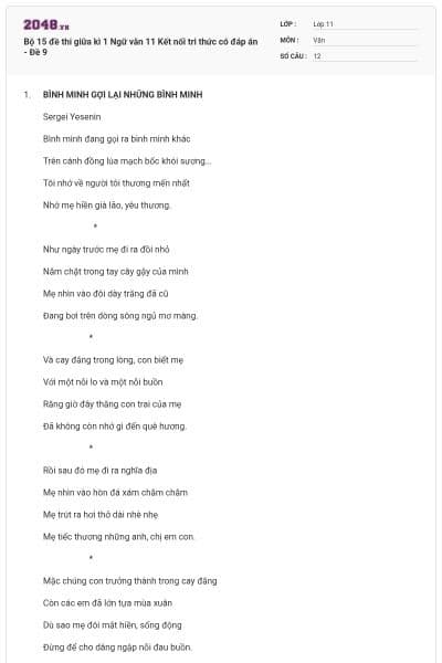Bộ 15 đề thi giữa kì 1 Ngữ văn 11 Kết nối tri thức có đáp án - Đề 9