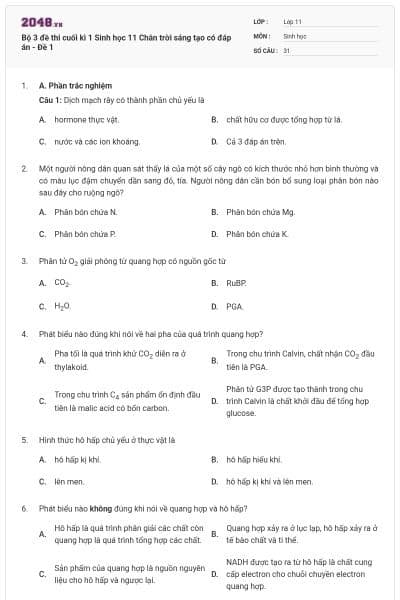 Bộ 3 đề thi cuối kì 1 Sinh học 11 Chân trời sáng tạo có đáp án - Đề 1