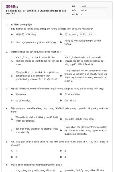 Bộ 3 đề thi cuối kì 1 Sinh học 11 Chân trời sáng tạo có đáp án - Đề 2