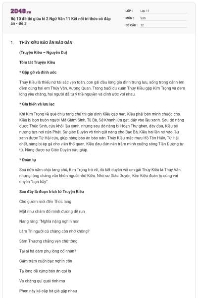 Bộ 10 đề thi giữa kì 2 Ngữ Văn 11 Kết nối tri thức có đáp án - Đề 3