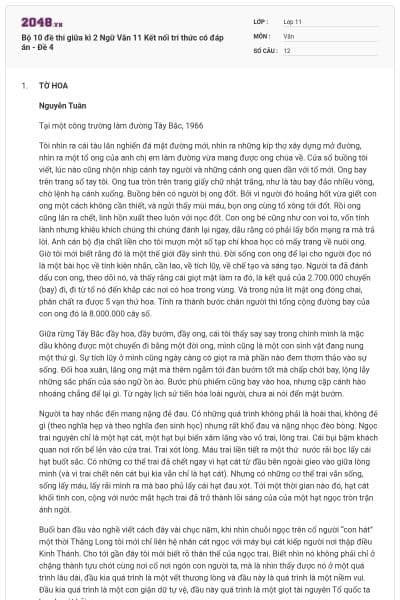 Bộ 10 đề thi giữa kì 2 Ngữ Văn 11 Kết nối tri thức có đáp án - Đề 4