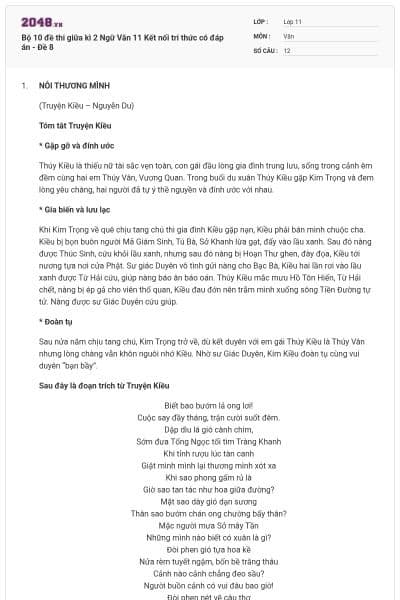 Bộ 10 đề thi giữa kì 2 Ngữ Văn 11 Kết nối tri thức có đáp án - Đề 8