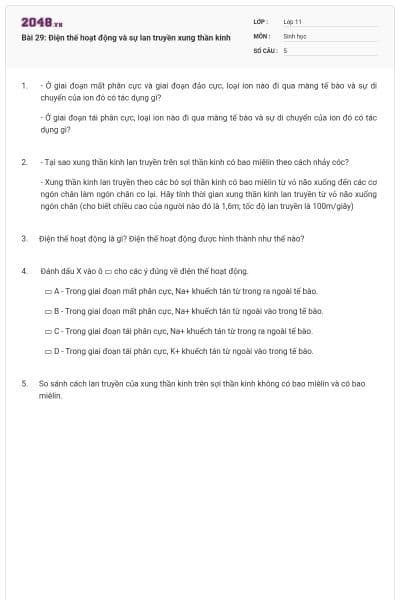 Bài 29: Điện thế hoạt động và sự lan truyền xung thần kinh