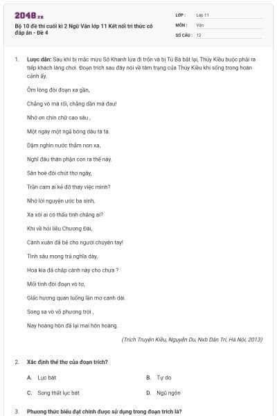 Bộ 10 đề thi cuối kì 2 Ngữ Văn lớp 11 Kết nối tri thức có đáp án - Đề 4