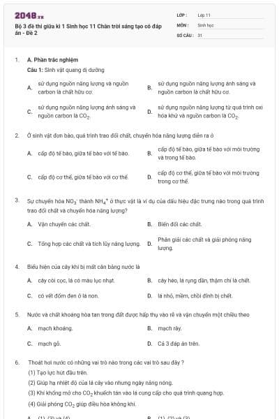 Bộ 3 đề thi giữa kì 1 Sinh học 11 Chân trời sáng tạo có đáp án - Đề 2