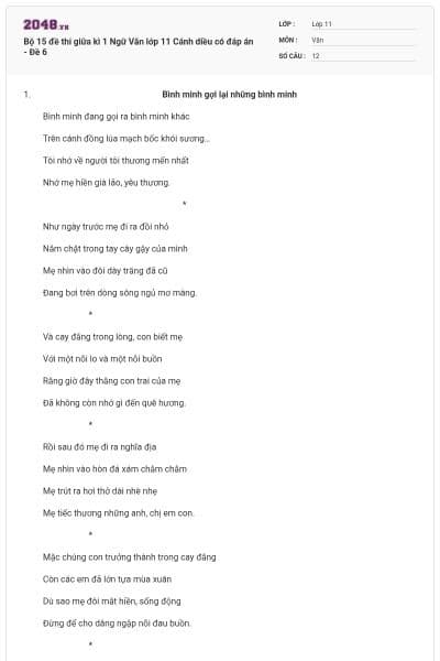 Bộ 15 đề thi giữa kì 1 Ngữ Văn lớp 11 Cánh diều có đáp án - Đề 6