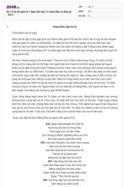 Bộ 15 đề thi giữa kì 1 Ngữ Văn lớp 11 Cánh diều có đáp án - Đề 9