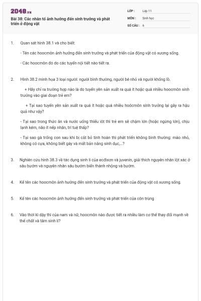 Bài 38: Các nhân tố ảnh hưởng đến sinh trưởng và phát triển ở động vật