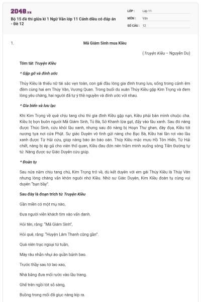 Bộ 15 đề thi giữa kì 1 Ngữ Văn lớp 11 Cánh diều có đáp án - Đề 12