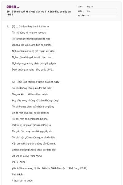 Bộ 15 đề thi cuối kì 1 Ngữ Văn lớp 11 Cánh diều có đáp án - Đề 3